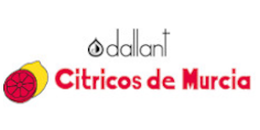 Cimusa